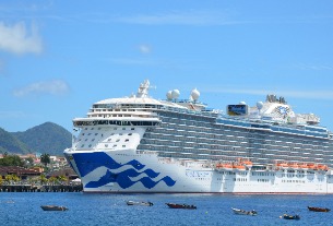 Princess Cruises cancels this year's Chinese trips amid virus crisis